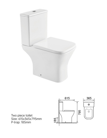 Унитаз напольный с бачком Taliente Elegante Vortex EL45055 белый с сиденьем безободковый смыв торнадо
